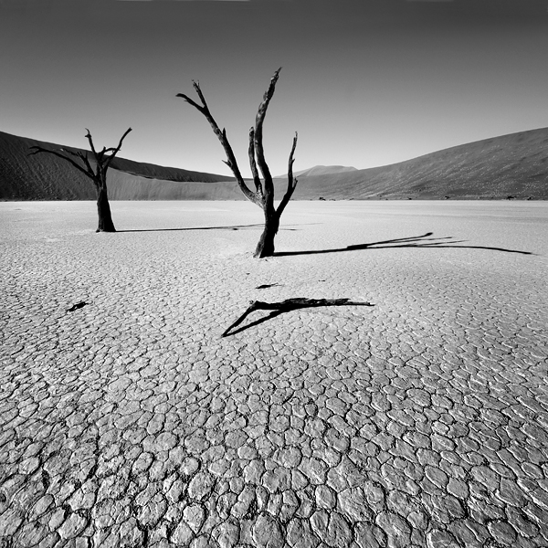 Dead.Vlei.II