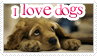 I love Dogs Stamp