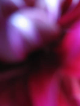 Flower Texture 3