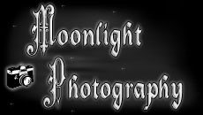 Moonlight Photography logo