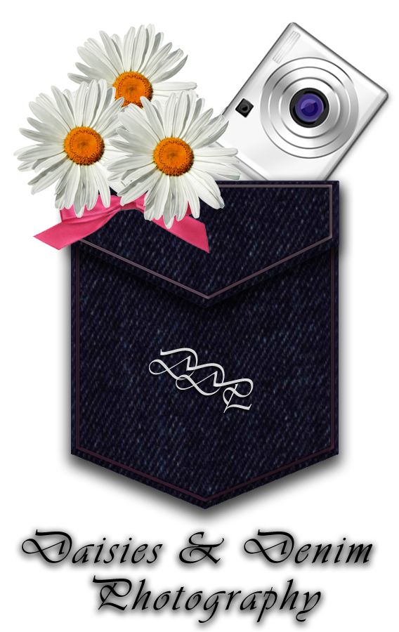 Daisies and Denim logo 2