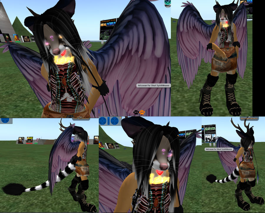 Sl Cat Races SL Mod WIP: Riragon Cat by SailorX on DeviantArt