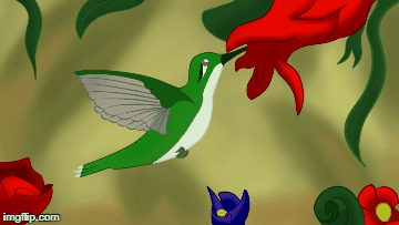 Animated GIF-Hummingbird by MaitreVoleur on DeviantArt Animated GIF-Hummingbird by MaitreVoleur on DeviantArt