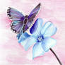 Butterfly x Flower