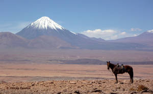 Atacama