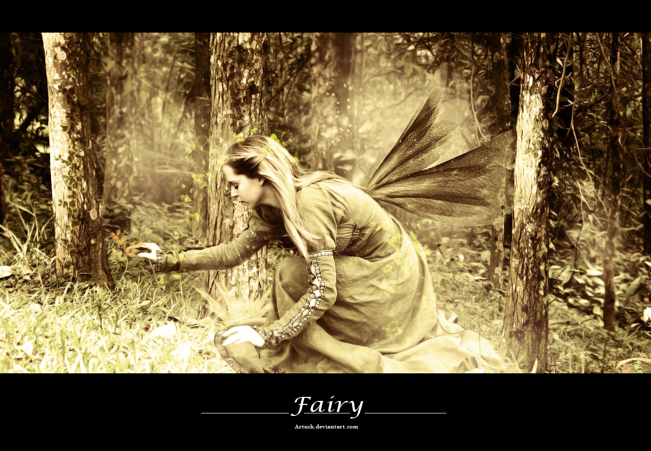 Fairy