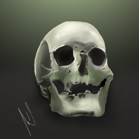 Skull