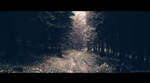 Road in the Woods by Artush