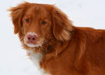Snow Face by Matiki