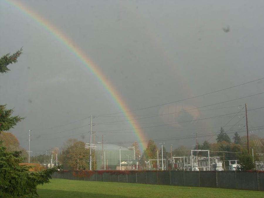 Rainbow in my backyard