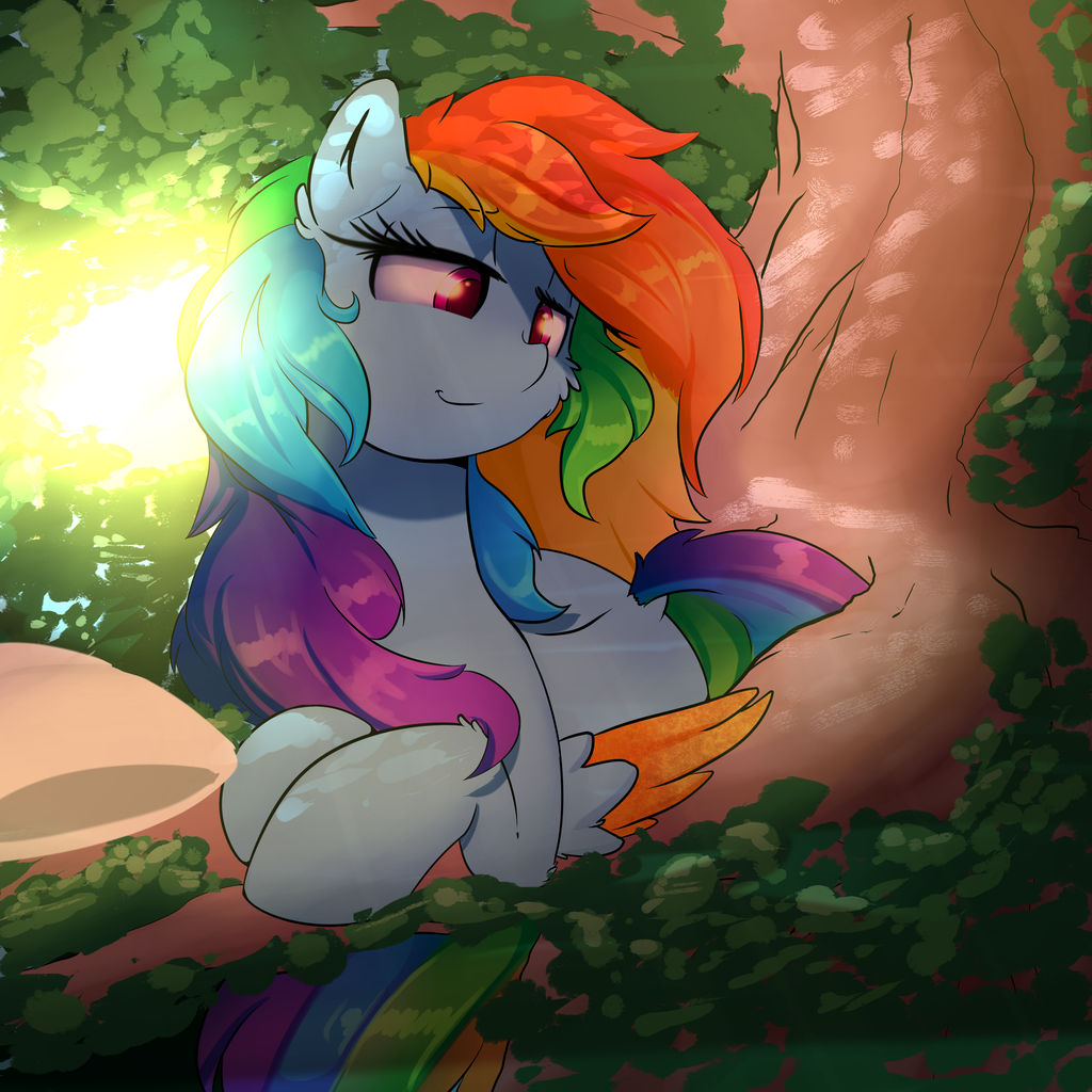 Morning Dash