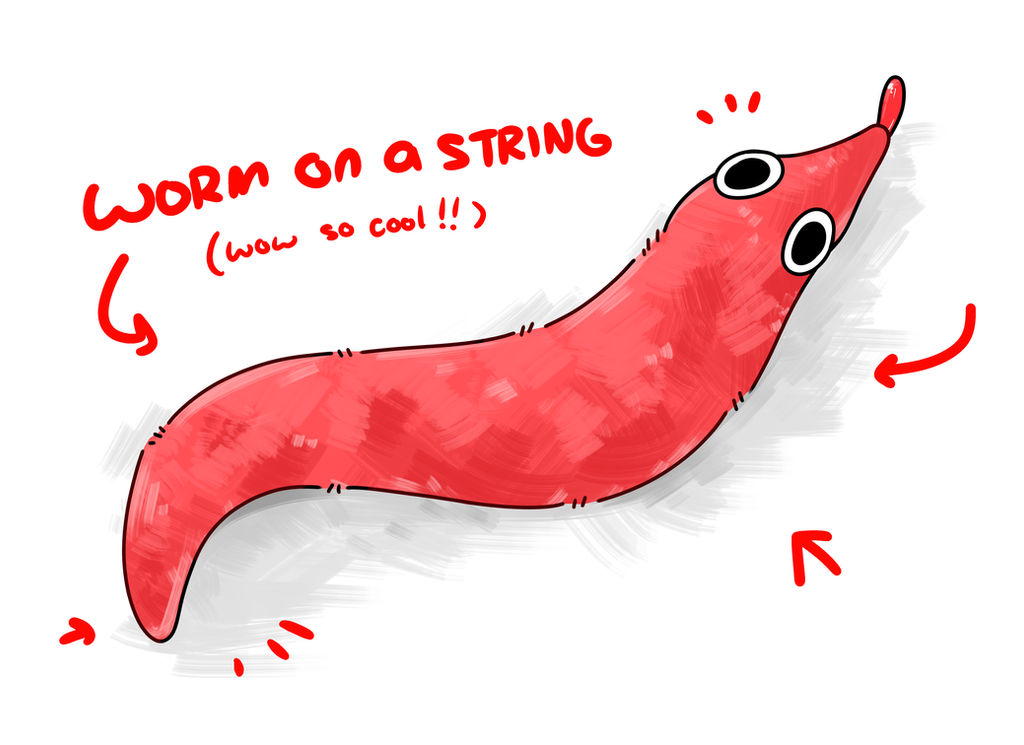 Worm on a String