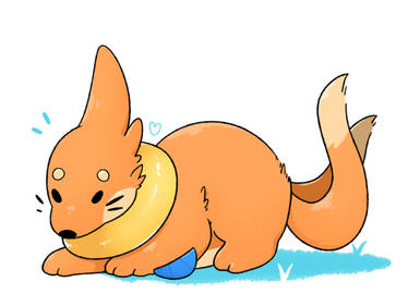 Buizel