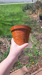 Finished Terracotta Pot Bowl