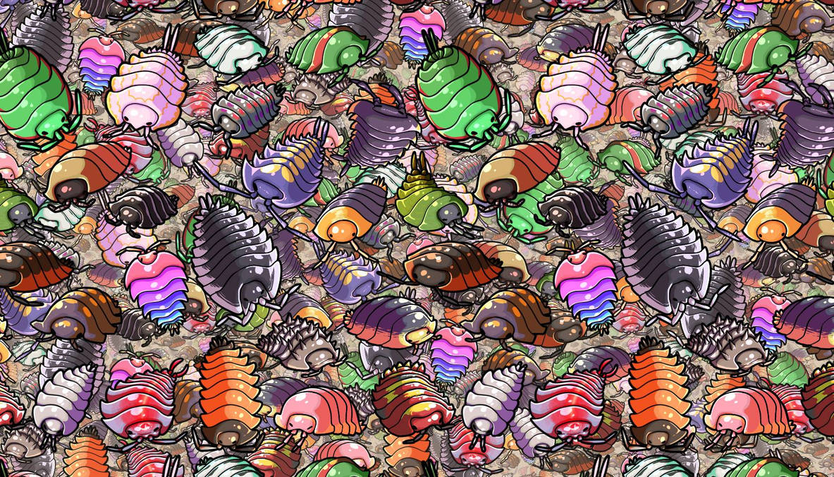 Isopod wallpaper by Jazz-Dude on DeviantArt