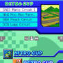 Mario Kart DS Demo Version Retro Cup