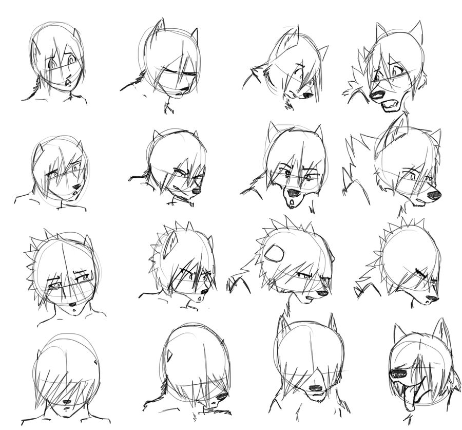 Wolf transformation sketches by Kitsumethewolf on DeviantArt