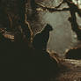 Dark Paths