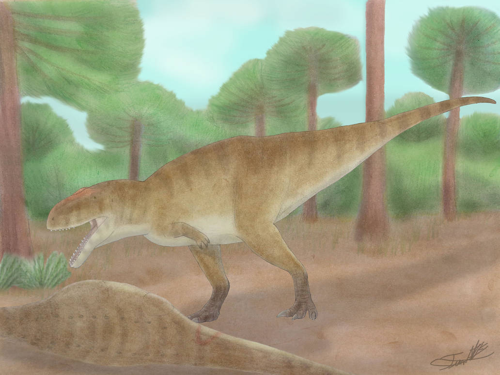 Meraxes . gigas by Angeloraptorex230 on DeviantArt