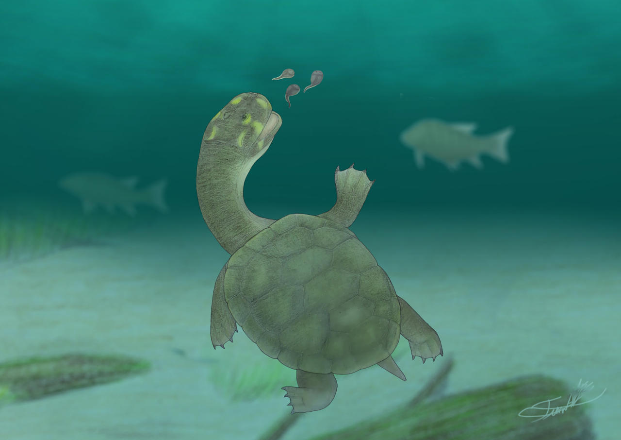 Sahonachelys by Angeloraptorex230 on DeviantArt
