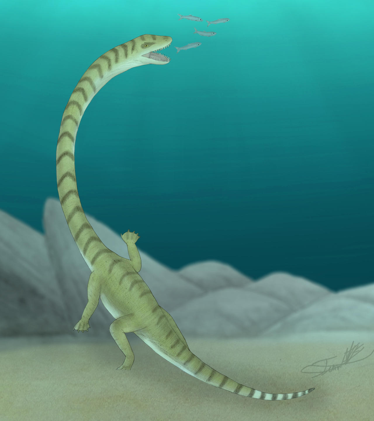 Gracilicollum by Angeloraptorex230 on DeviantArt