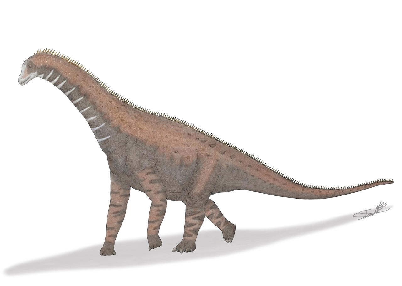 Isisaurus Model Isisaurus by Angeloraptorex230 on DeviantArt