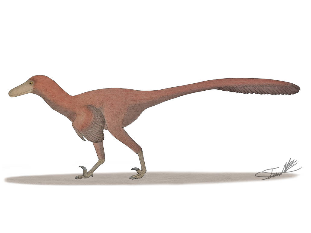 Pyro Raptor Size Pyroraptor Dino planet by Angeloraptorex230 on DeviantArt