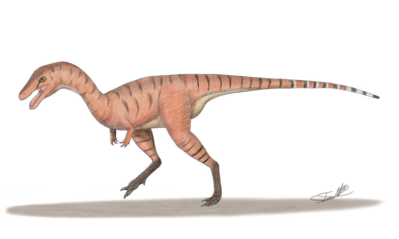 Vespersaurus