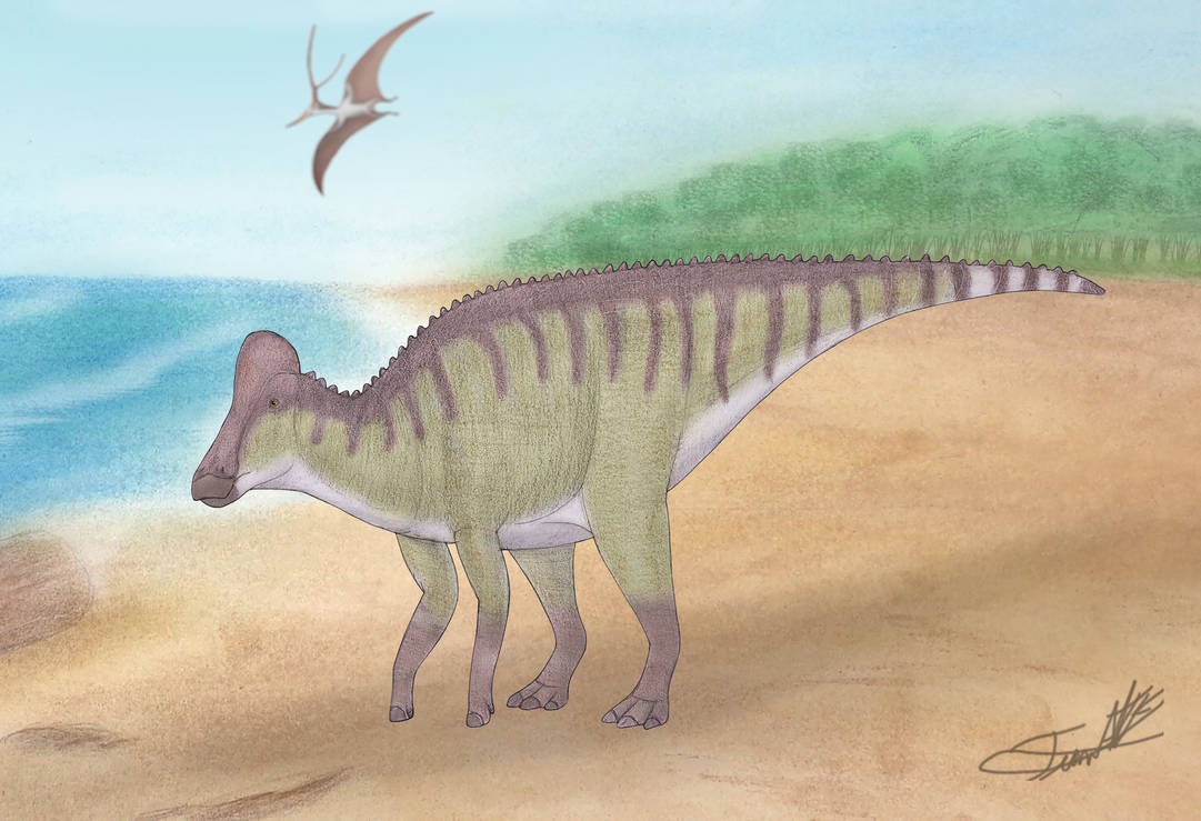 Chakisaurus Size Minqaria by Angeloraptorex230 on DeviantArt