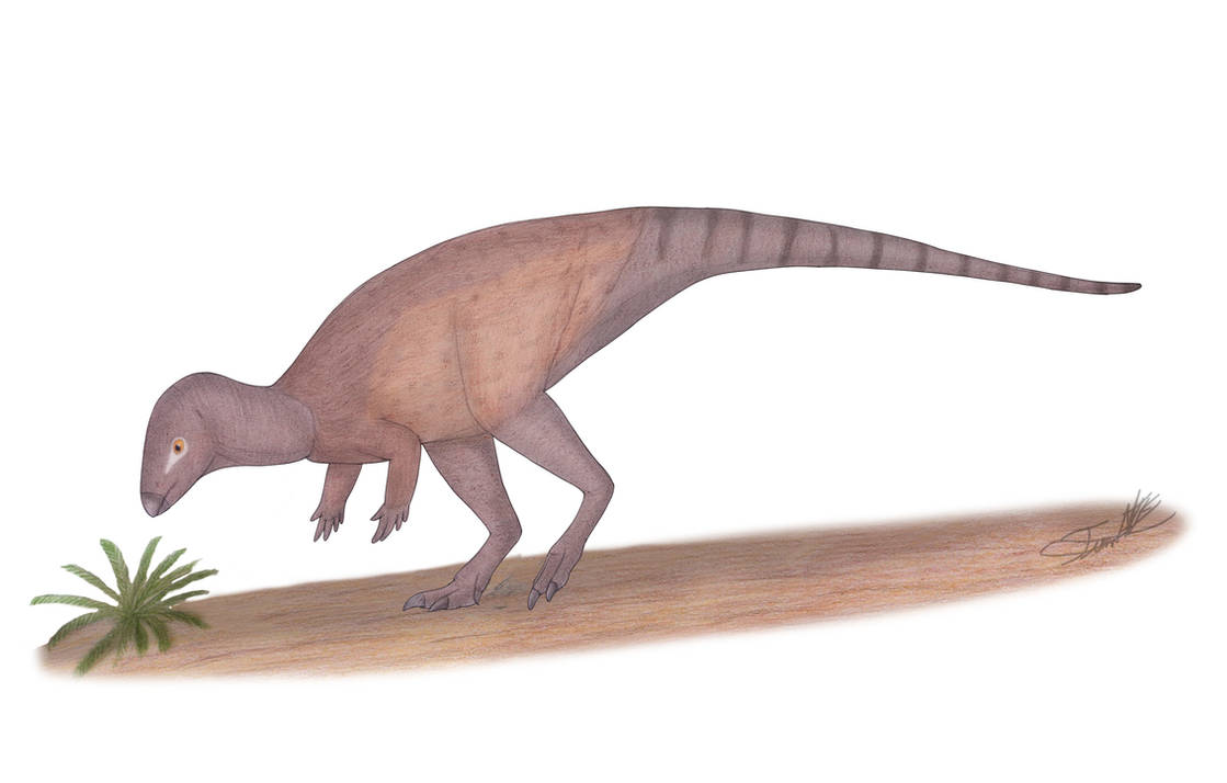 Chakisaurus Size Chakisaurus by Angeloraptorex230 on DeviantArt