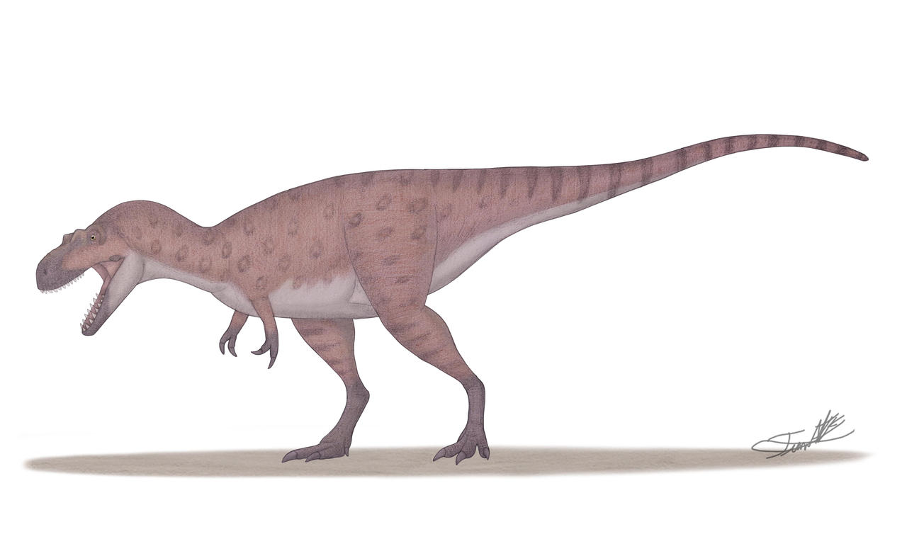Labocania Labocania . aguillonae by Angeloraptorex230 on DeviantArt