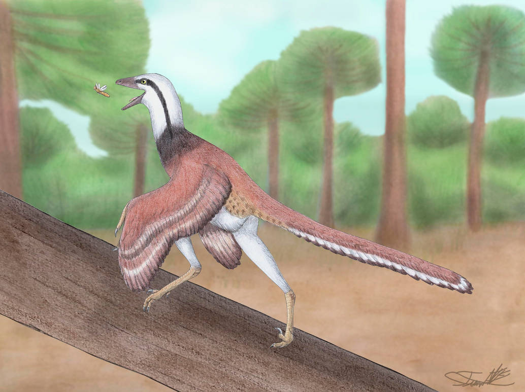 Over Rapter Overoraptor by Angeloraptorex230 on DeviantArt