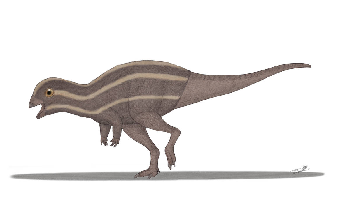 Doolesaurus Doolysaurus by Angeloraptorex230 on DeviantArt