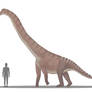 Mesetasaurus