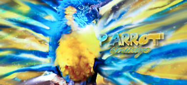 Parrot Smudge Sig
