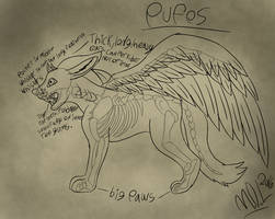 Feral Pufos anatomy reference