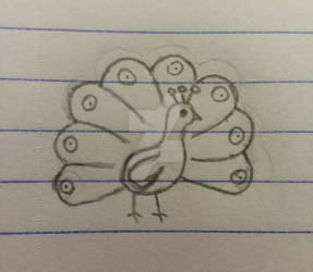 Peacock Doodle