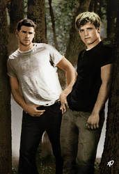 The Hunger Games: Gale and Peeta