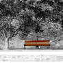 Red Bench