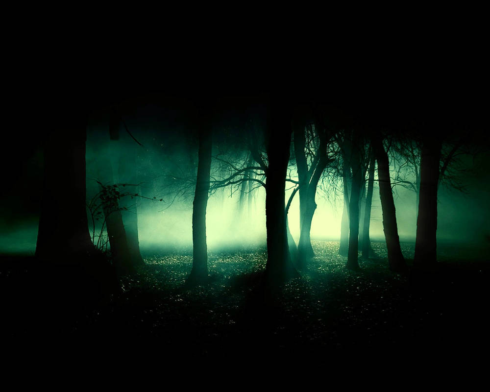 Forbidden Forest by admin2gd1