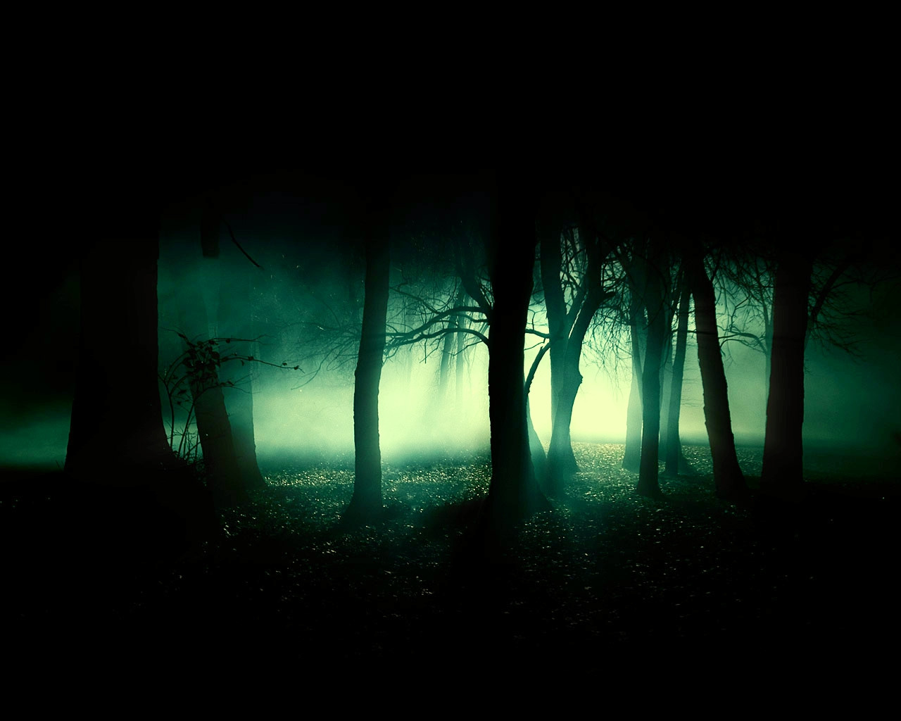 Forbidden Forest by admin2gd1