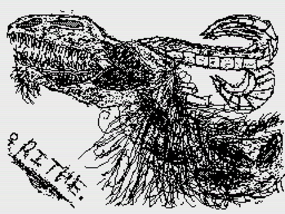 Rithe by Safidasango on DeviantArt