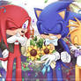 Sonic 30th