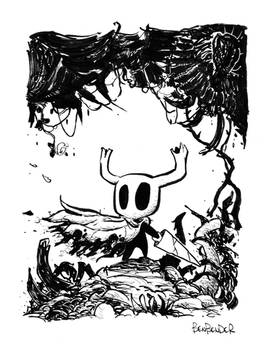 Hollow Knight