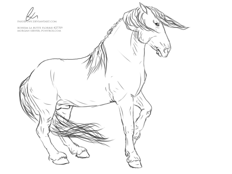 Half-Rearing Stallion Lineart.