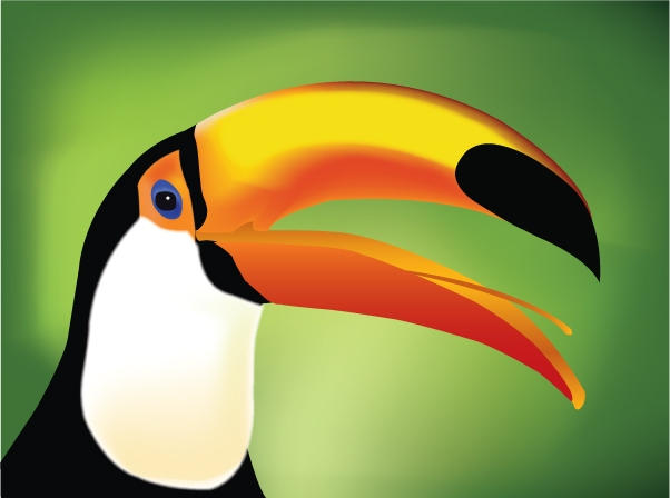 Tucano