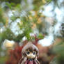 Taiga in the Garden