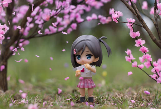 Tsukiko's Love Letter in Springtime