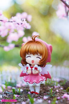 Sakura Daisuki!