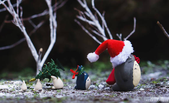 Totoro and Friends on Christmas Day